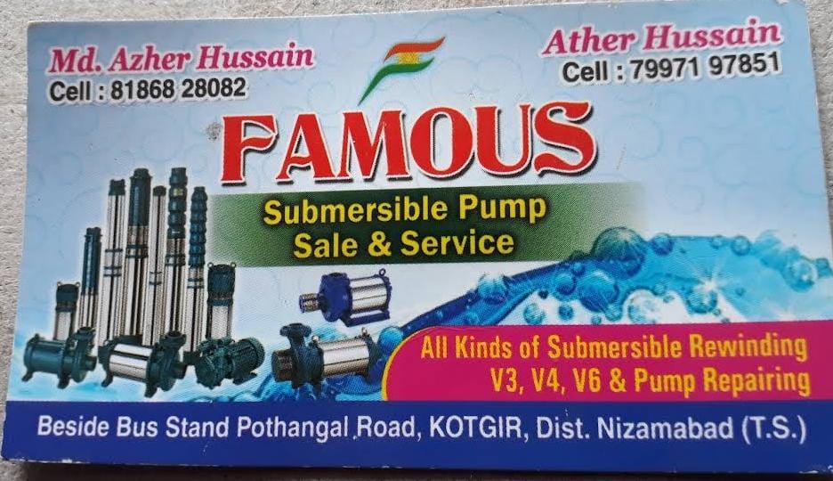 Famous Submersibles pump sale & service